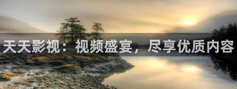 伊人蜜桃久久影视：天天影视：视频盛宴，尽享优质内容