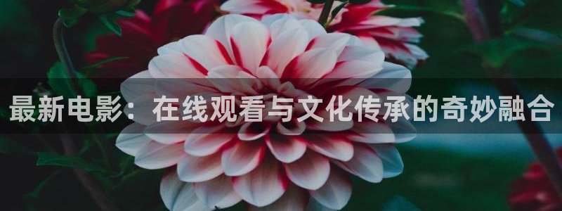 丁度电影美丽的小蜜桃：最新电影：在线观看与文化传承的奇妙融合