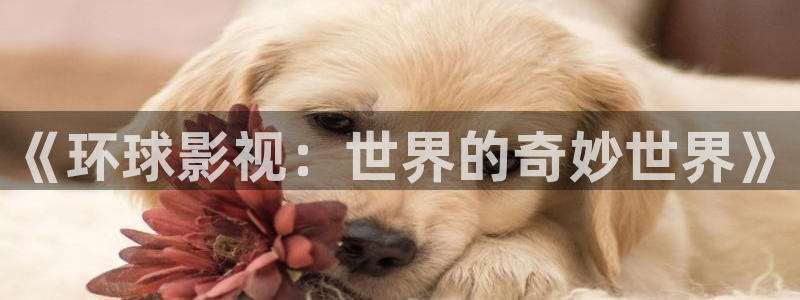 蜜桃成人精品影院：《环球影视：世界的奇妙世界》
