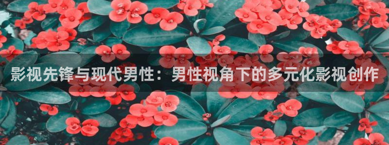 蜜桃视频在线观看1234区：影视先锋与现代男性：男性视角下的多元化影视创作
