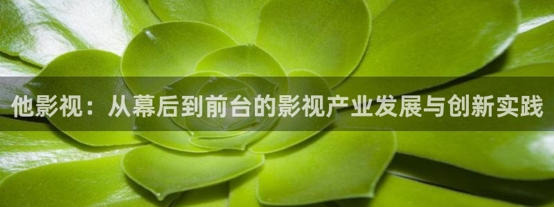 蜜桃是什么电影：他影视：从幕后到前台的影视产业发展与创新实践