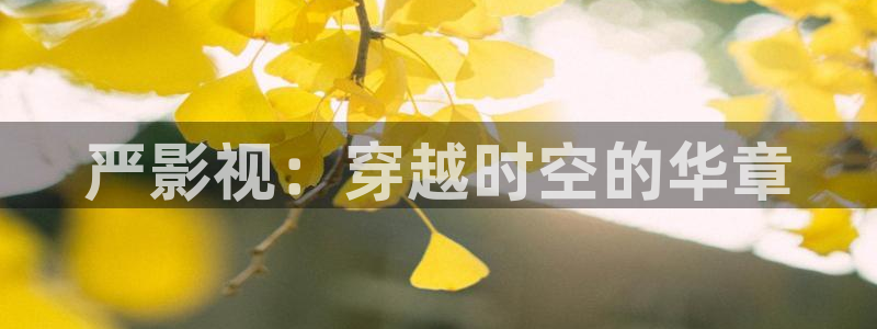 丝瓜蜜桃视频：严影视：穿越时空的华章