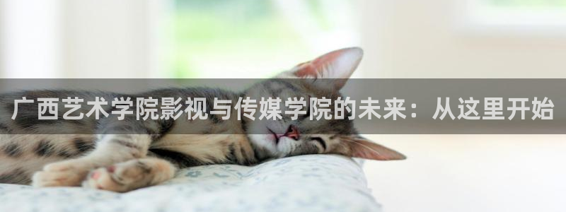 小蜜桃在线观看视频：广西艺术学院影视与传媒学院的未来：从这里开始